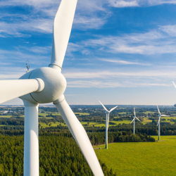 Renewable Wind Farms