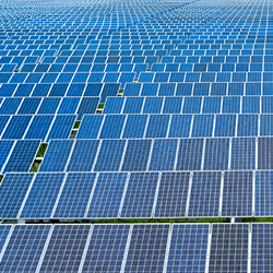 Renewable Solar Farms